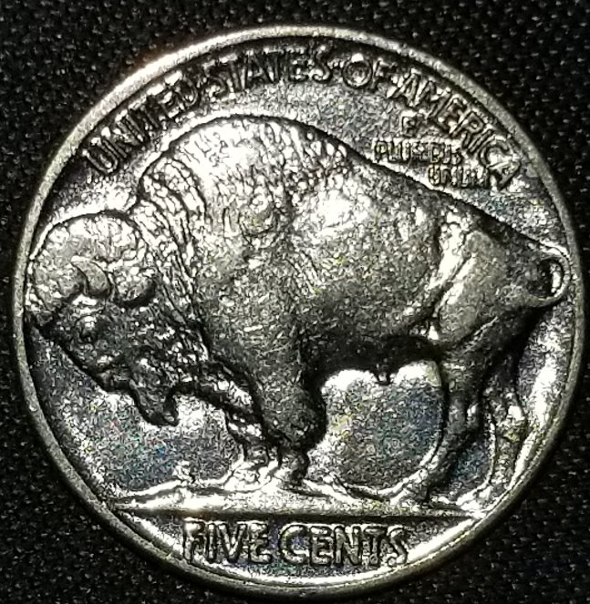 Why-Does-This-Buffalo-Nic-Look-Light--Blue